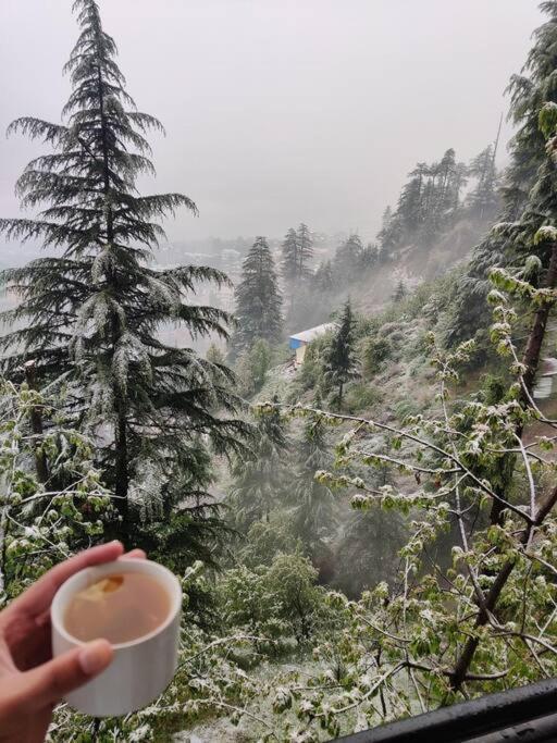 Aroma TARU VILLA / cottage ,Manali Eksteriør billede