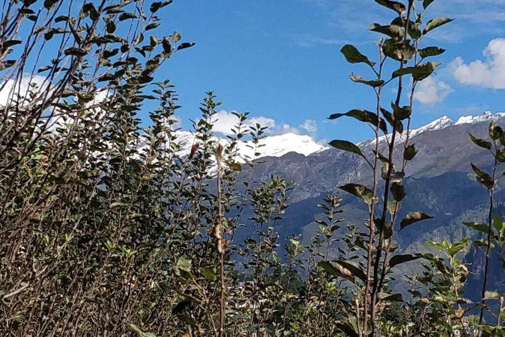 Aroma TARU VILLA / cottage ,Manali Eksteriør billede